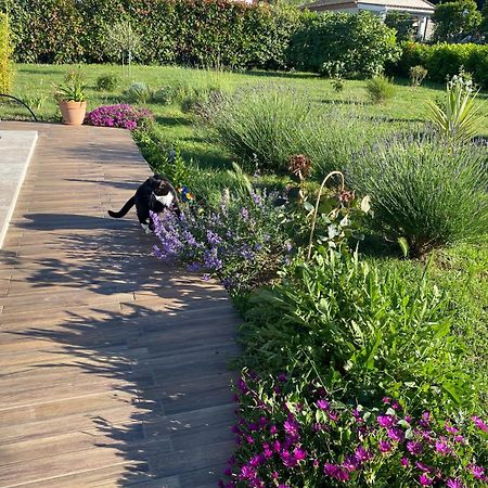 パラジャ La Rosela De La Cite Bed & Breakfast エクステリア 写真