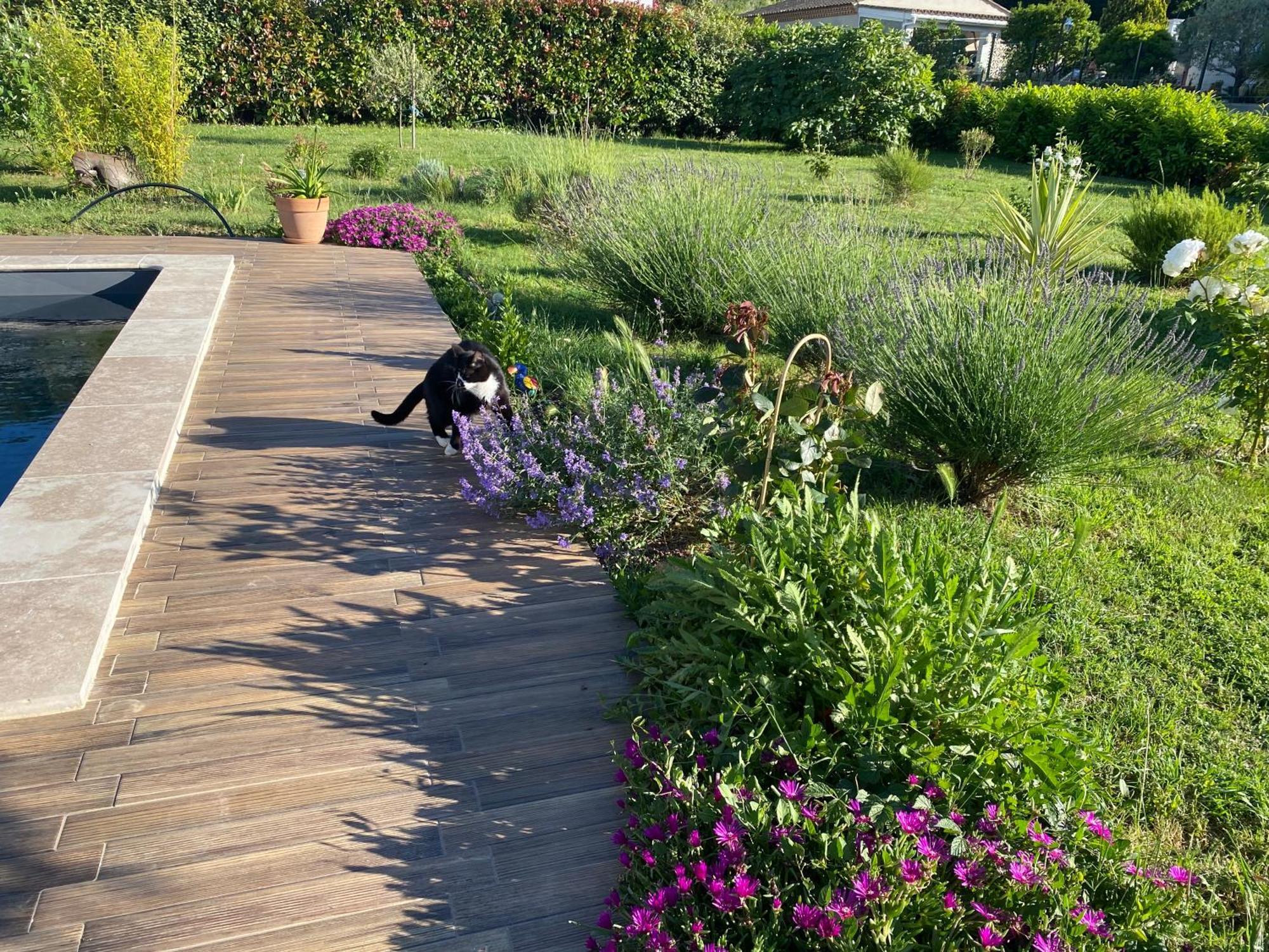 パラジャ La Rosela De La Cite Bed & Breakfast エクステリア 写真